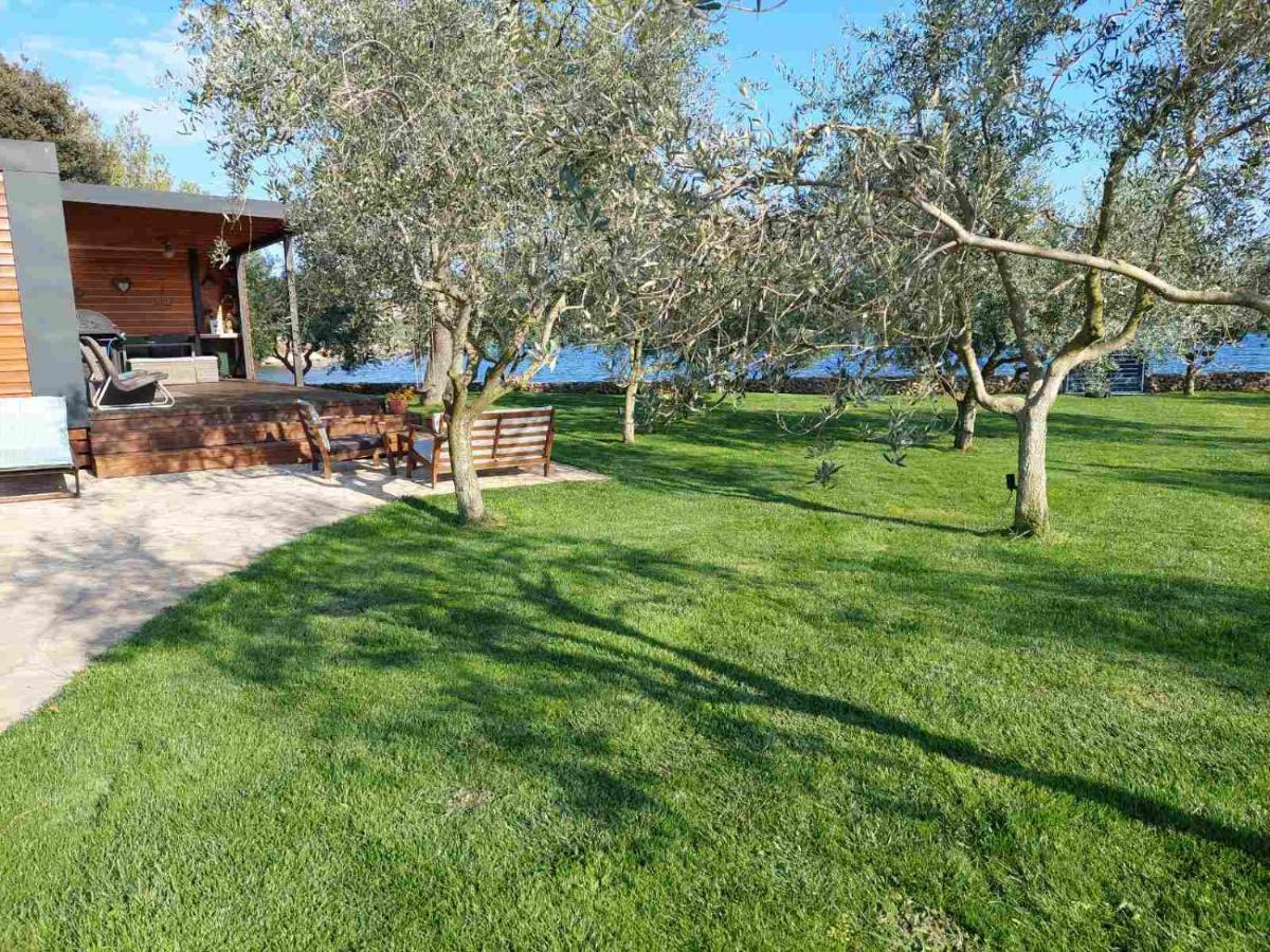 Beach House Ive With Jacuzzi, Pool, Playground And Bbq In An Olive Grove With A Beach, Pomer - Istria 외부 사진