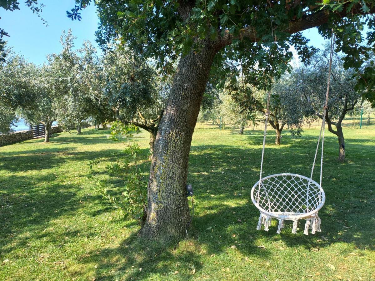 Beach House Ive With Jacuzzi, Pool, Playground And Bbq In An Olive Grove With A Beach, Pomer - Istria 외부 사진
