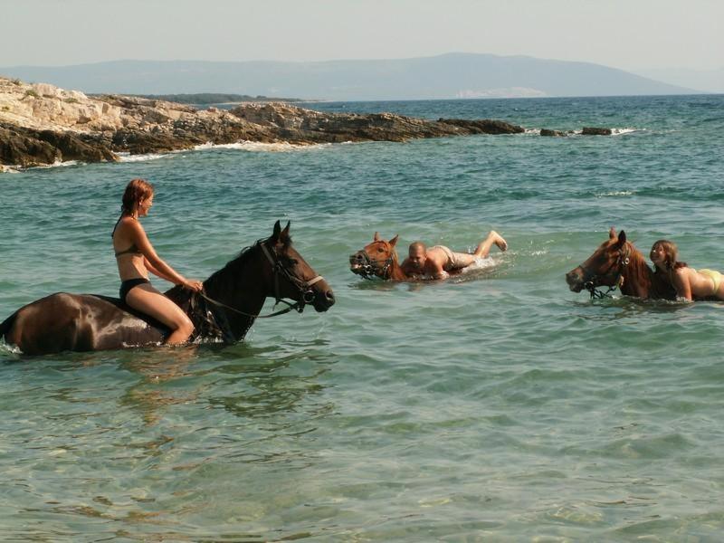 Beach House Ive With Jacuzzi, Pool, Playground And Bbq In An Olive Grove With A Beach, Pomer - Istria 외부 사진